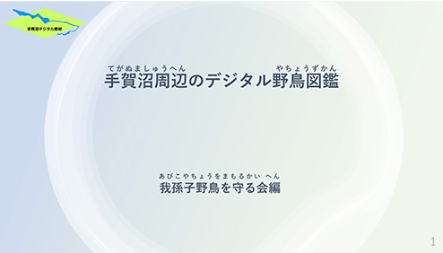 手賀沼周辺のデジタル野鳥図鑑