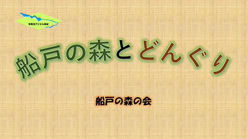 船戸の森とどんぐり