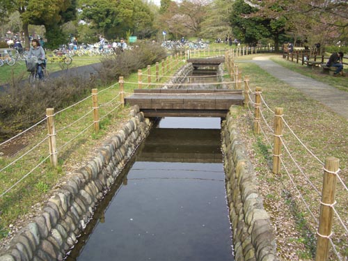昭和記念公園みんなの原っぱ南を流れる柴崎分水