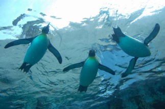 水族館