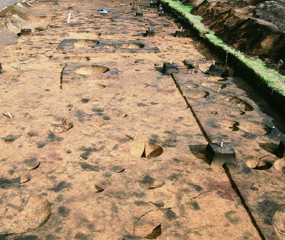 国指定史跡 カリンバ遺跡と柏木B遺跡―縄文時代の後期 石棒集団から赤い漆塗り帯集団へ アウトレット [単行本]