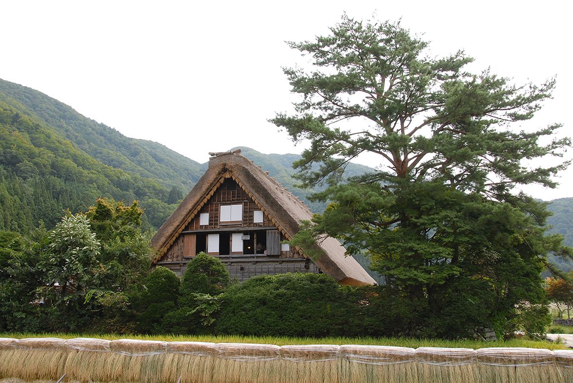 秋の和田家と稲架