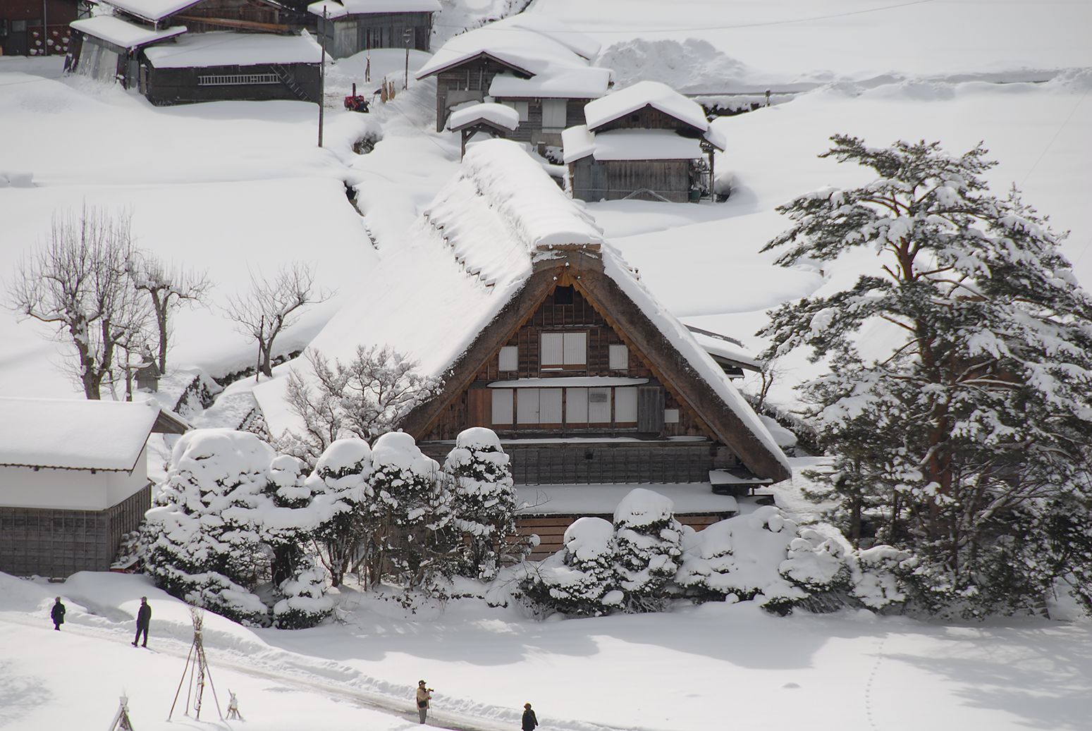 雪で覆われた和田家合掌家屋
