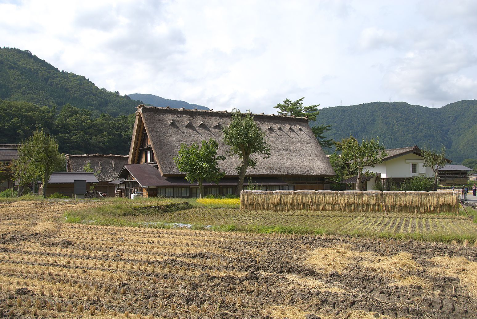 和田家東面