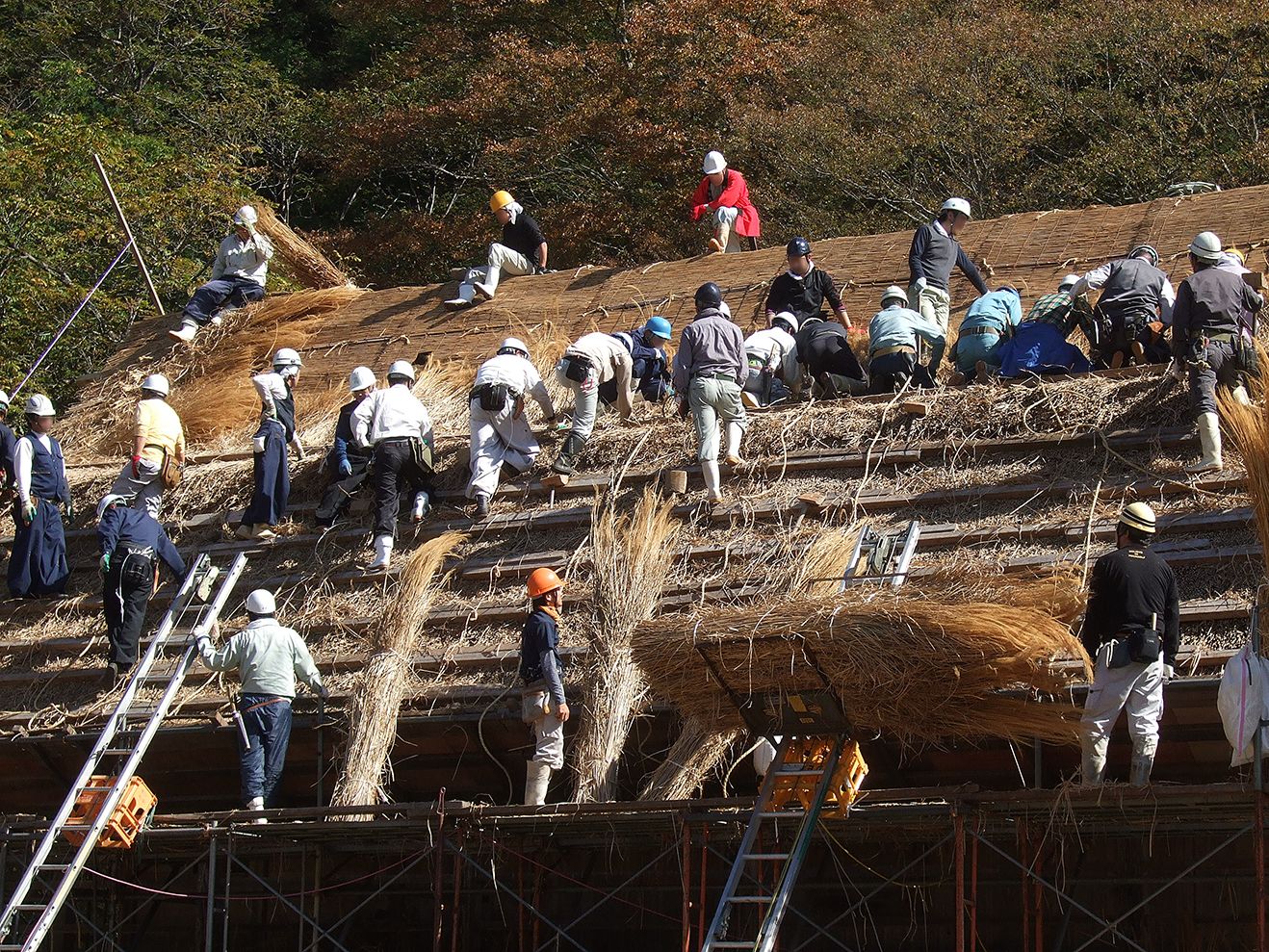 合掌屋根の葺き替え風景