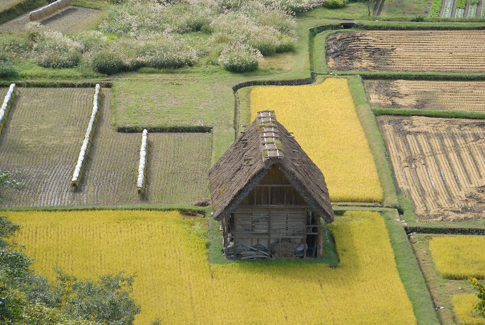 和田家板蔵