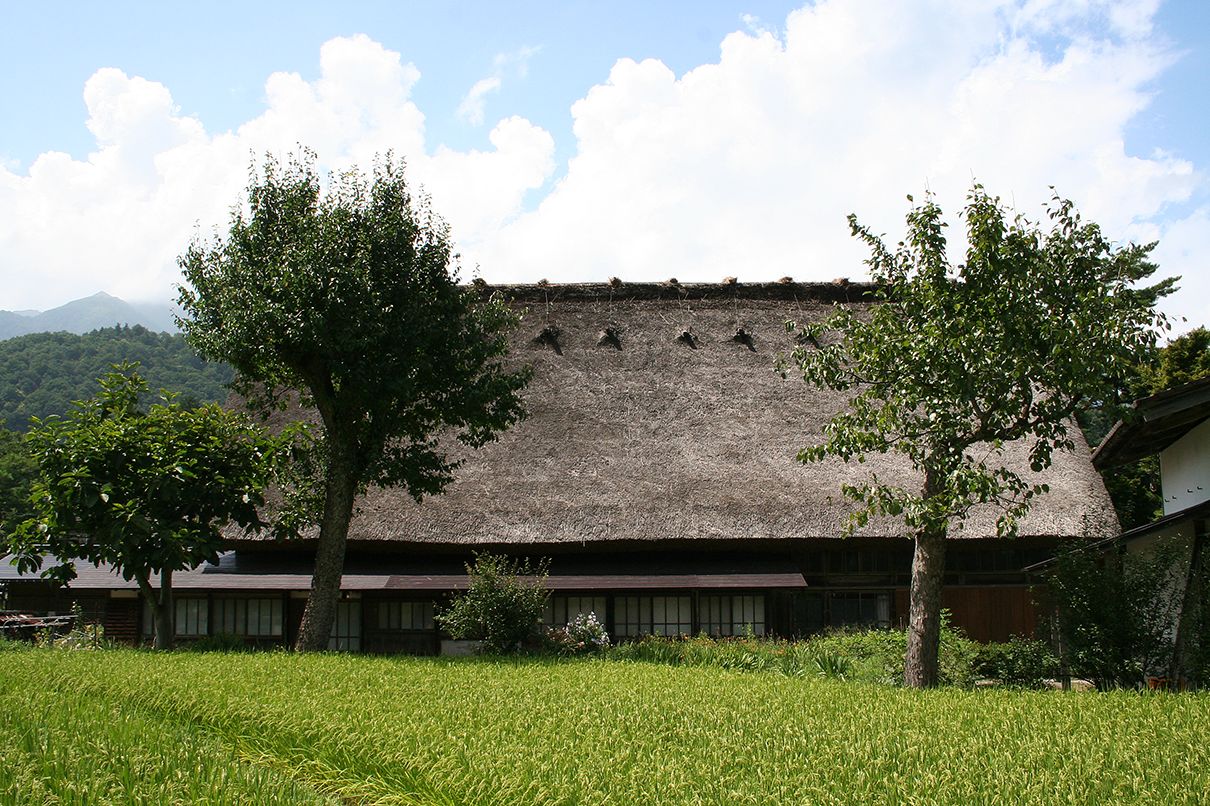 和田家東面