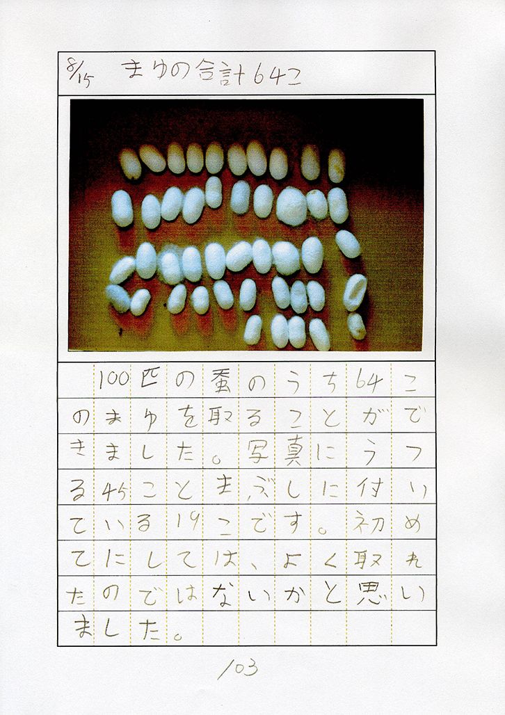 養蚕に関する研究資料6