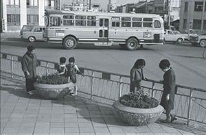 市役所東 市営バスとフラワーポッド 昭和40年