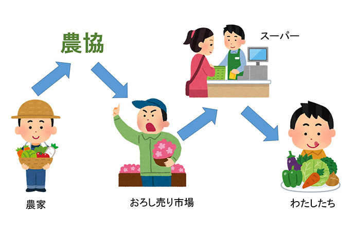 【資料タイトル①野菜が、わたし達の食たくに届くまでの流れ（スーパー編）