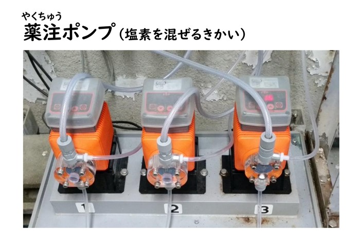 【資料タイトル】水がキレイになるしくみ