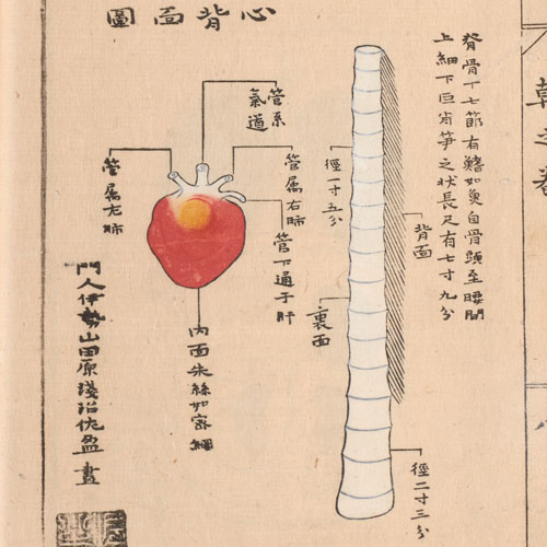 小田文庫蔵志乾