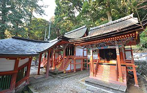 高倉神社本殿・境内社八幡社本殿・境内社春日社本殿　附棟札6枚 画像