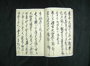 観菩提寺観世音開帳縁記文書 画像