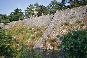 上野城跡 画像