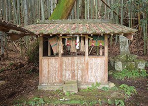 猪田神社古墳　附古井 画像