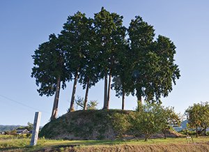 寺音寺古墳 画像