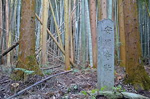 安国寺跡 画像