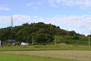 東山古墳 画像