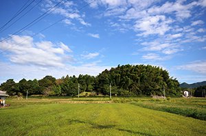 壬生野城跡 画像