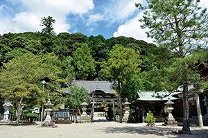 春日神社の社叢 画像