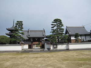 開化寺観音堂・三重塔・門 画像