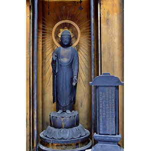 木造阿弥陀如来立像 画像