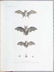 Description de l'Égypte, ou, Recueil des observations et des recherches qui ont été faites en Égypte pendant l'expédition de l'armée française. Histoire naturelle. Planches, t. 1