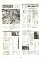 市報いずみさの 51.2月号 No.255