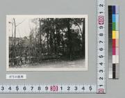 西方オシャモジ様