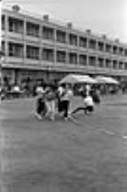 48年11月3日 市民体育祭のネガ