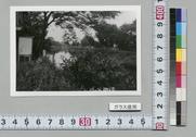 (川)