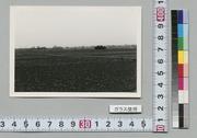 (農地)