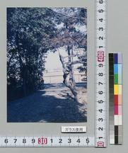 (田んぼで行き止まりの木立の道) 遠方に住宅