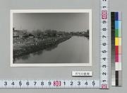 北越谷・元荒川河川敷の花見の人々