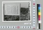 「志多見の溜井跡と金兵衛堀」説明板