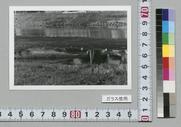(川)