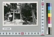 画像