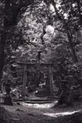 降松神社 1 画像