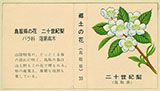 郷土の花　鳥取県の花　二十世紀梨