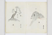 龍厩