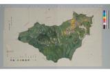 野倉村全村略図