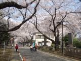 谷中天王寺五重塔跡(天王寺駐在所前)