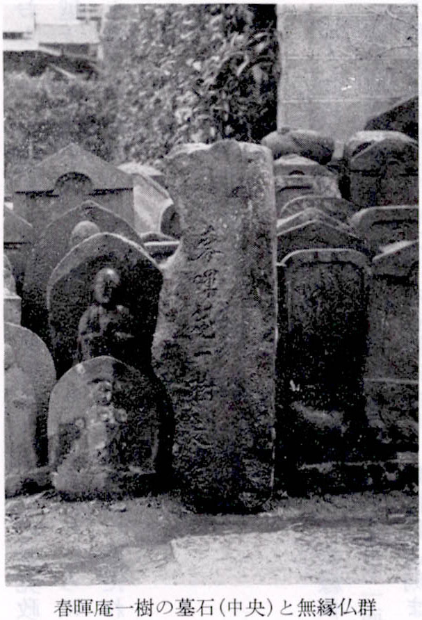 春暉庵一樹の墓石(中央)と無縁仏群