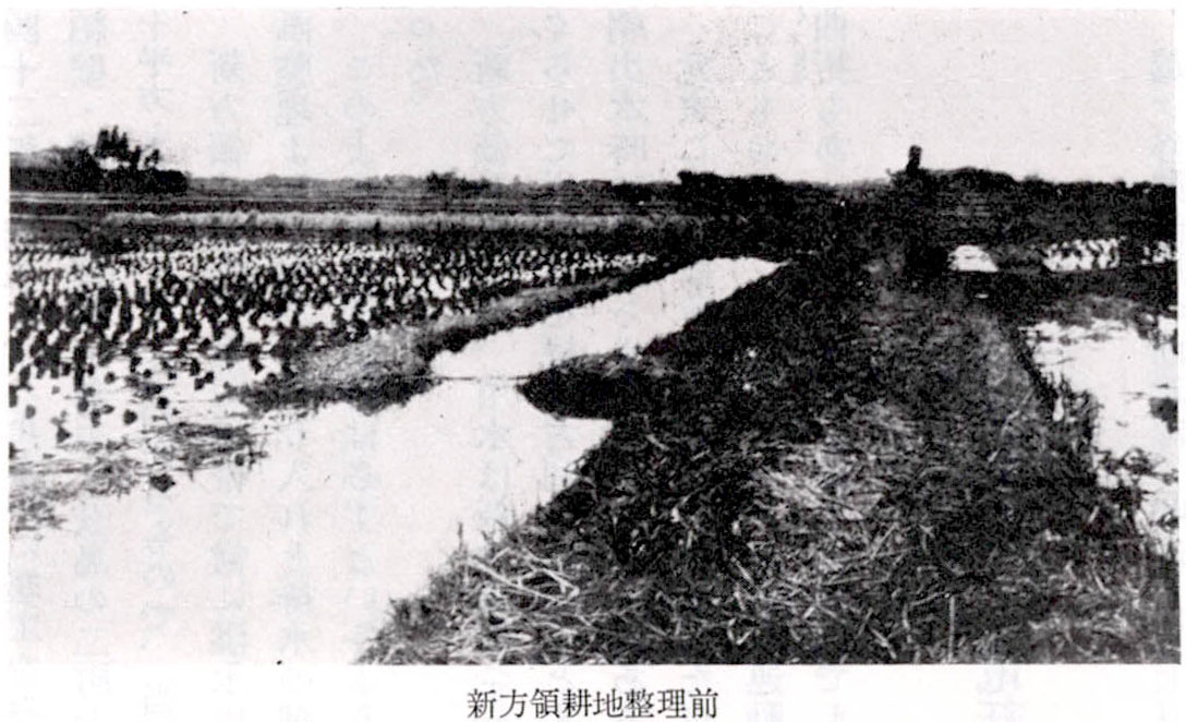 新方領耕地整理前