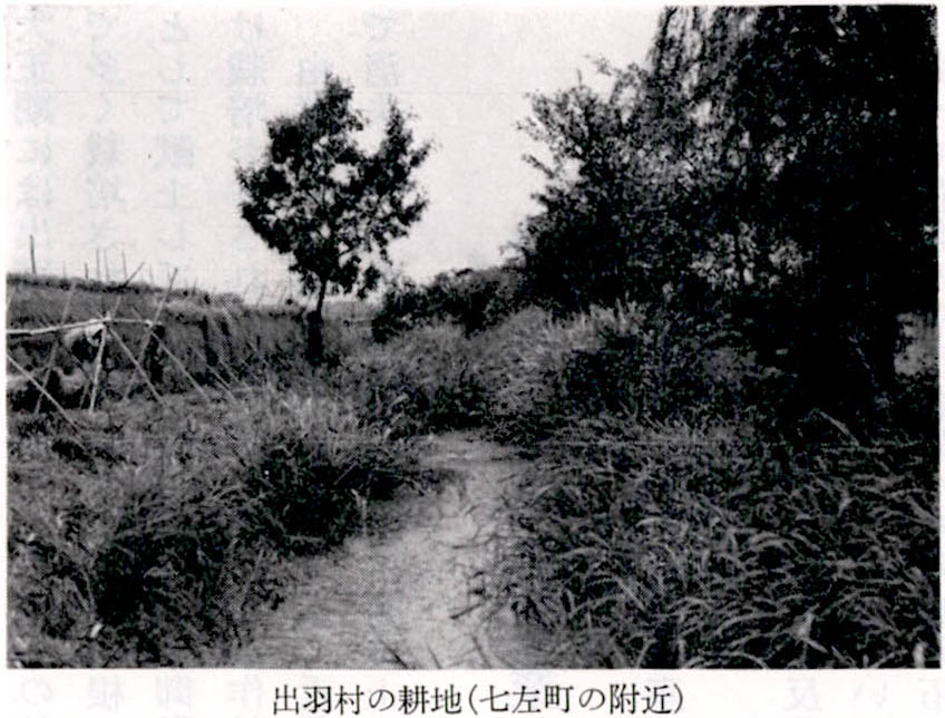 出羽村の耕地(七左町の附近)