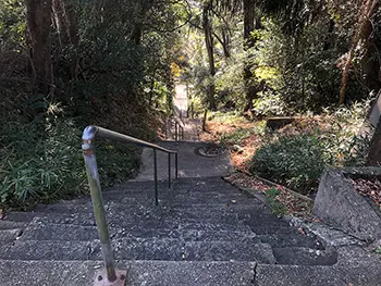 上野八幡神社