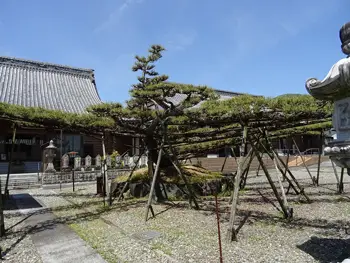 願勝寺