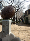 雷神山児童遊園　平成31年