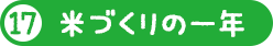 米づくりの一年